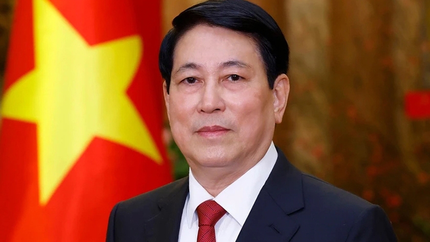 President Luong Cuong to pay state visits to Egypt and Angola